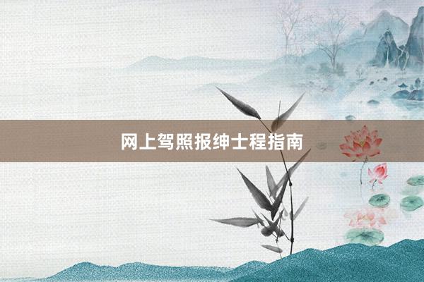 网上驾照报绅士程指南