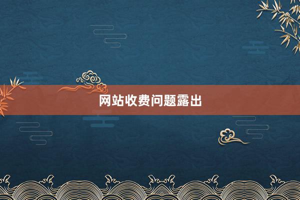 网站收费问题露出